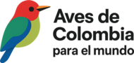 Guianza en Aves
